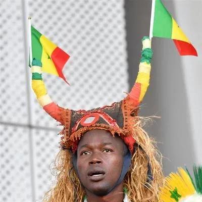 世界杯球队,世界杯球队塞内加尔