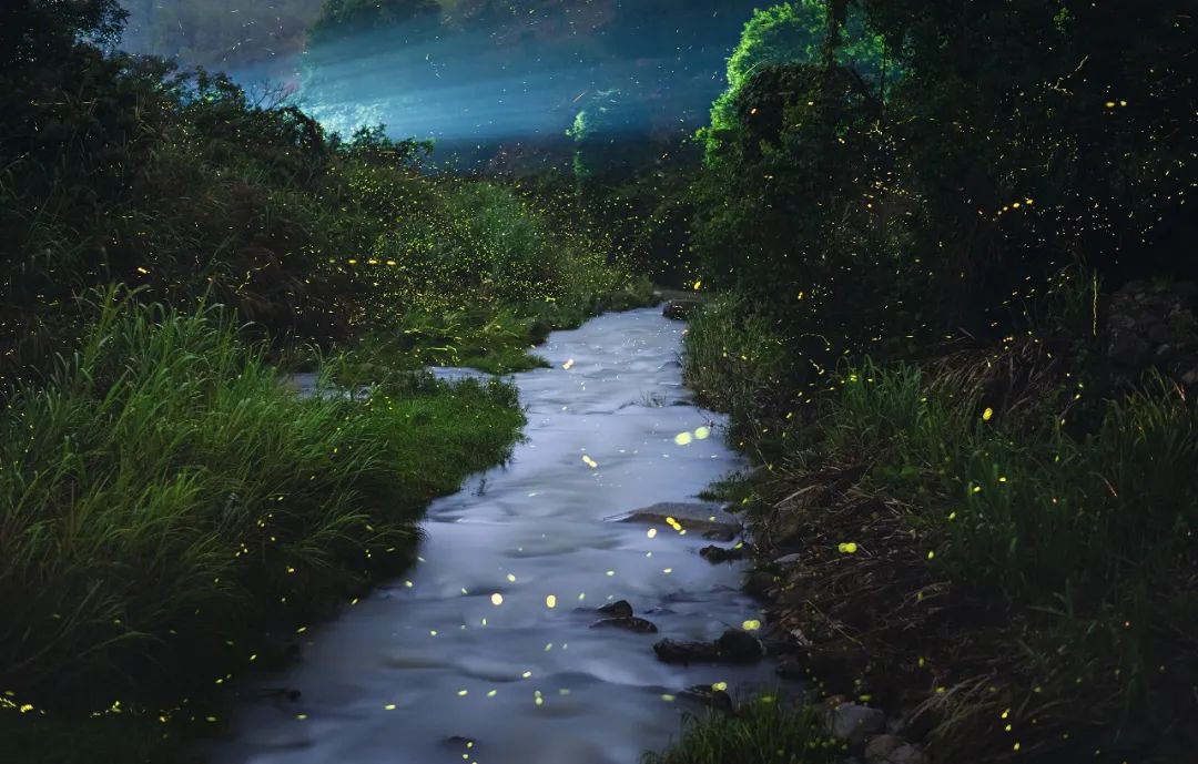 摄影师于海童​：尼康Z9基本满足了我在照片与视频领域的所有需求