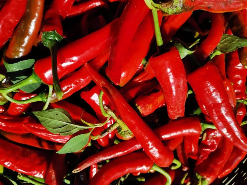 再饿也不要空腹吃这六种食物,这6种食物再饿也不要空腹吃