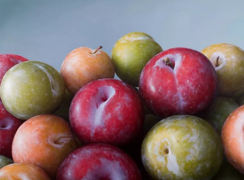 内蒙古校尉,宋代宫廷油画作品欣赏