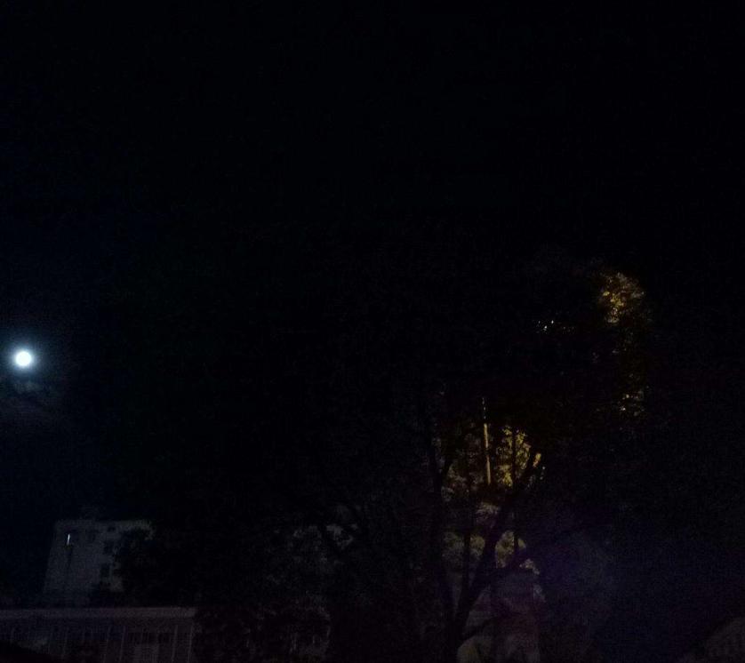 橘园连环性侵案,湖南连环性侵案