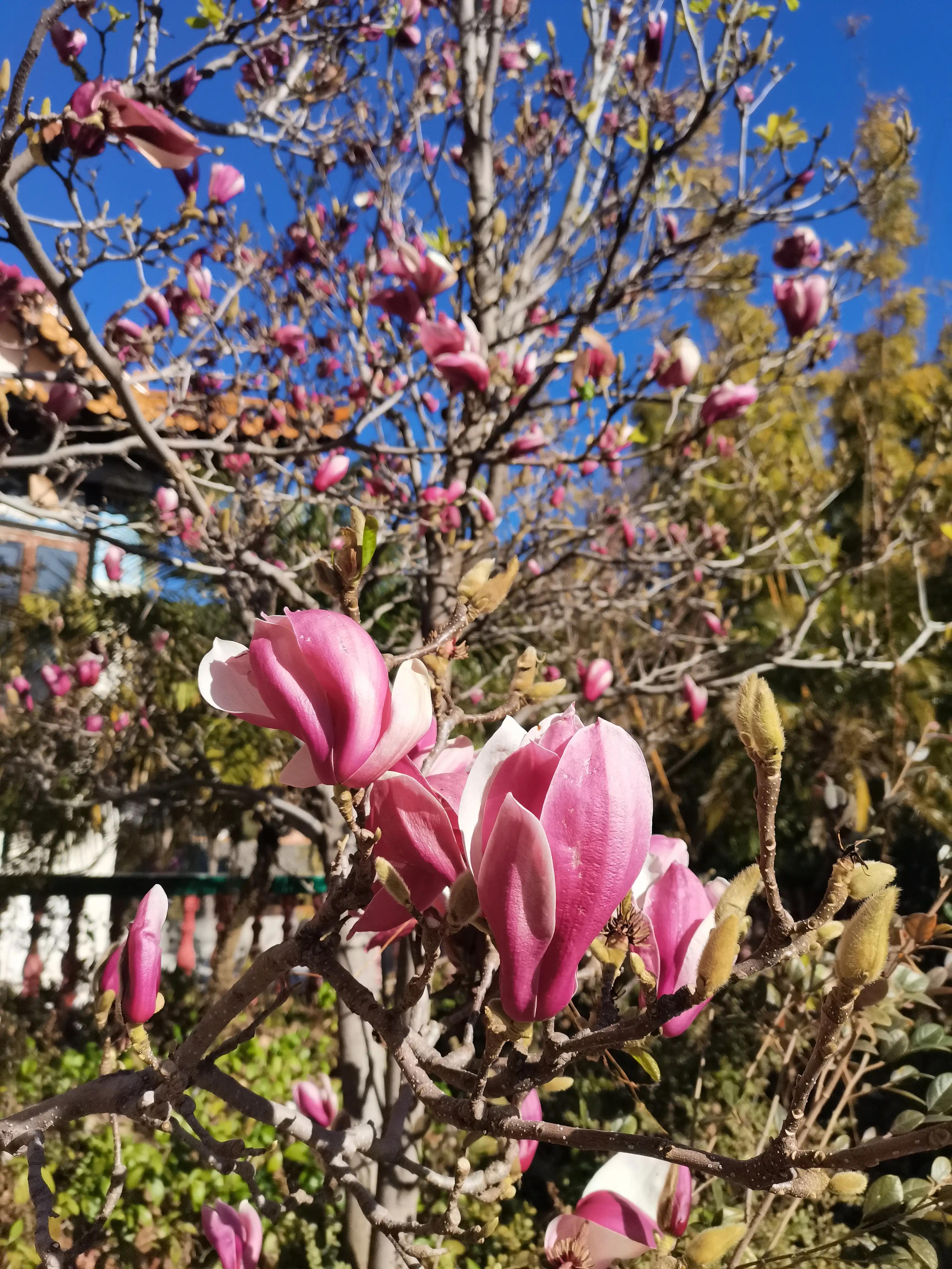 西安出发四川云南旅游攻略,西安出发7天自驾四川游