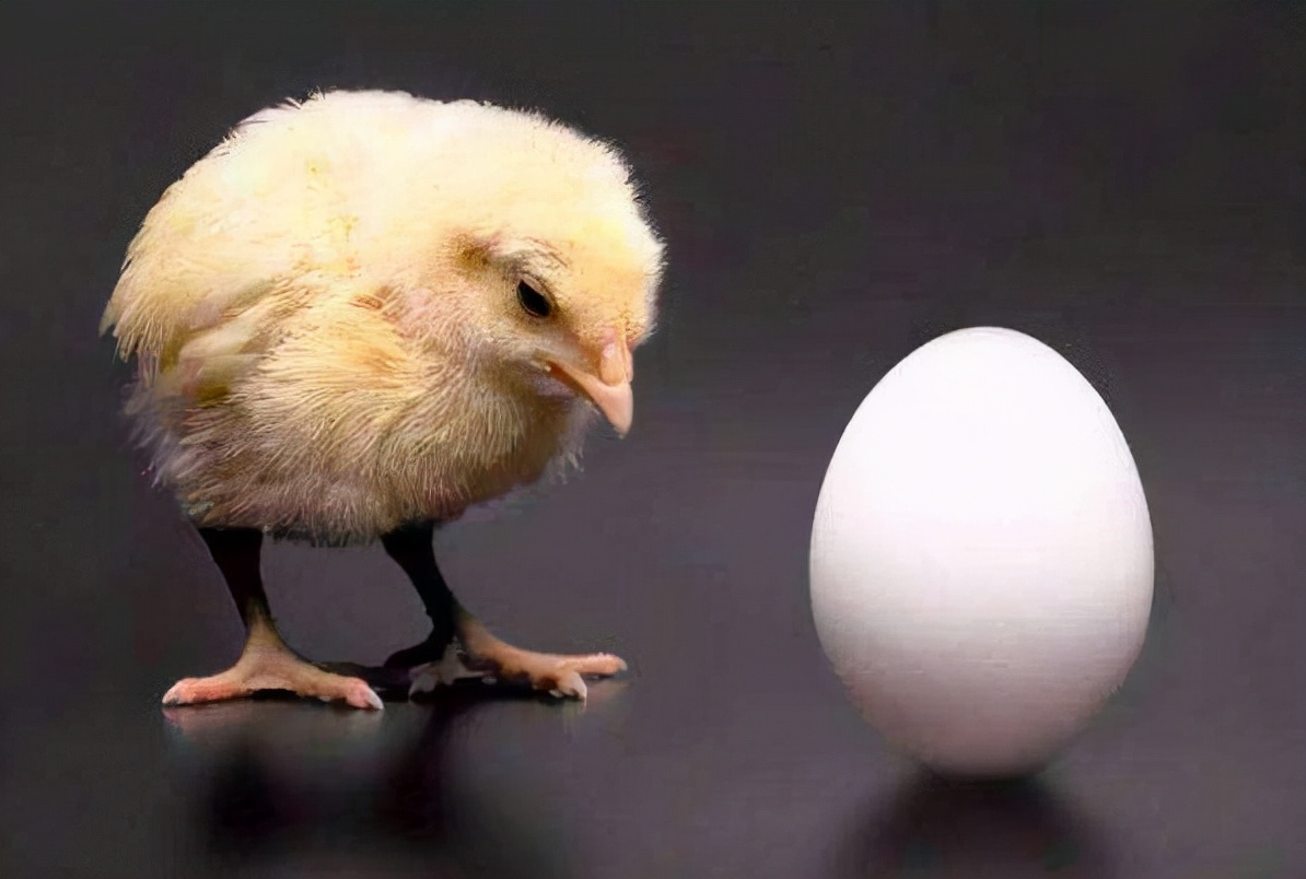 人类第一个女人是哪里来的,每个人都是女人生的吗