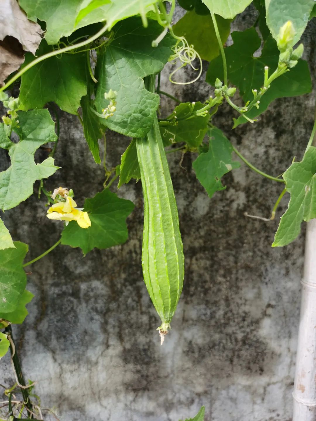 浙西南环游，喜欢龙泉，一座干干净净的山间小城