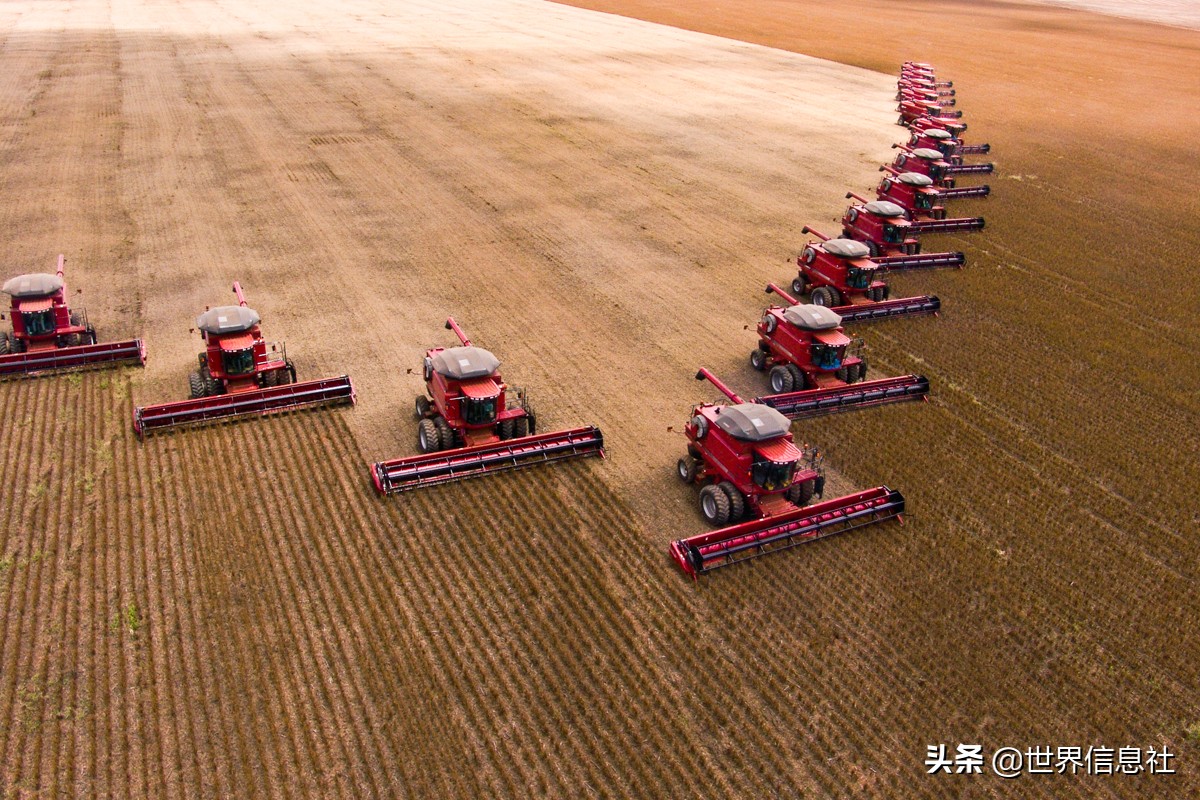 美国农业面临的问题有哪些,美国农业生产存在的问题