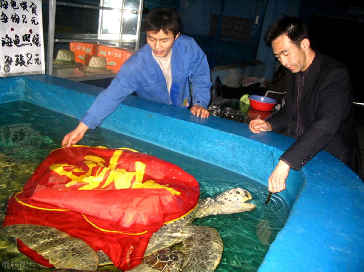 医院的保安一年收入,保安离职后能干什么