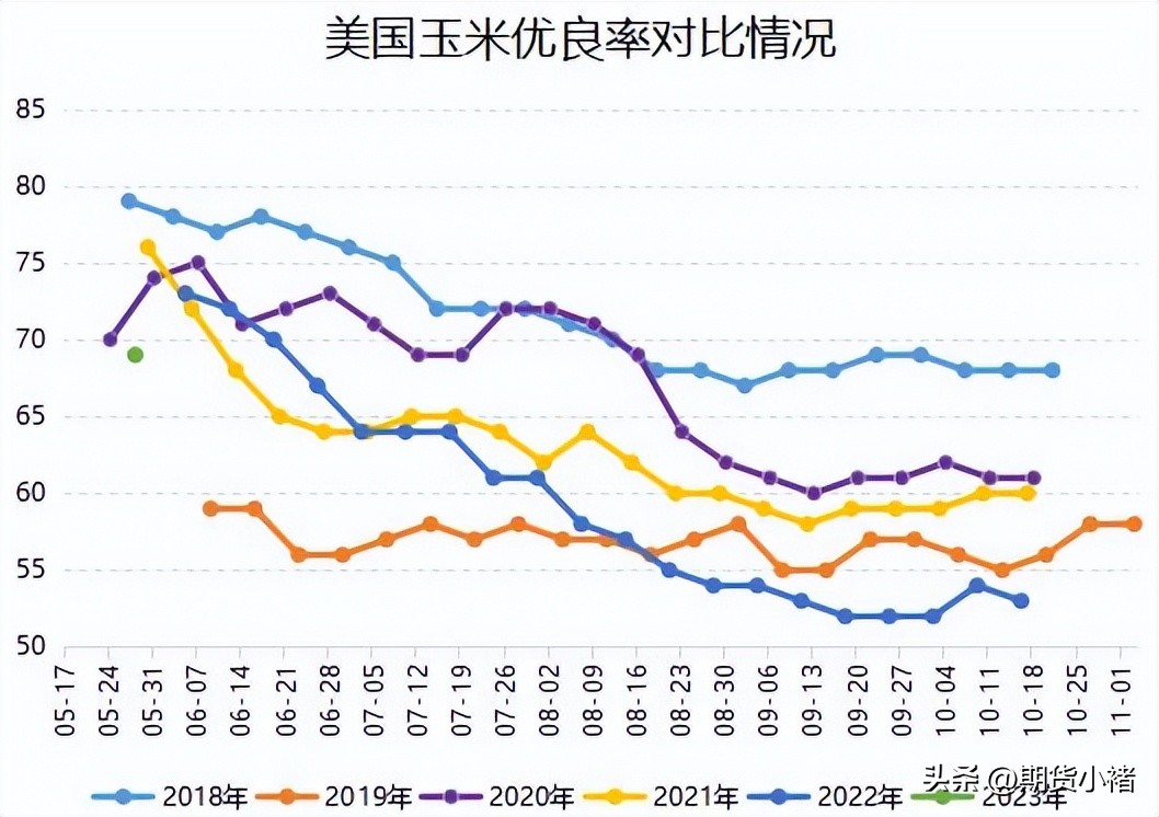 玉米盘中强势上涨,玉米现货上涨