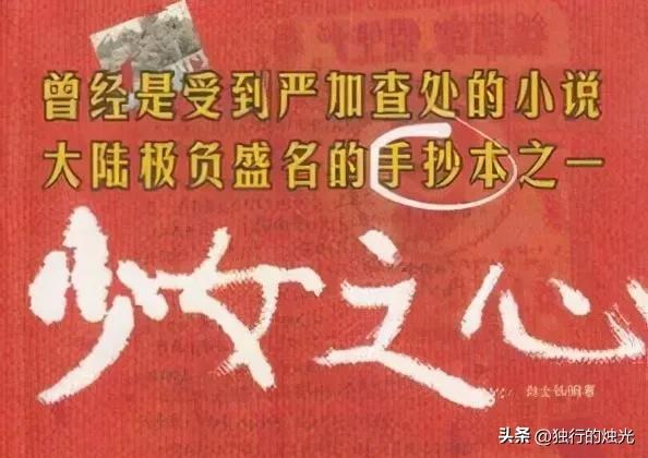 16岁的高中生，用极其恶毒的手段，治愈自己扭曲变态的童年