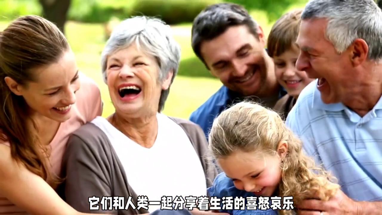 洋葱为什么狗不能吃,狗狗洋葱可以吃吗