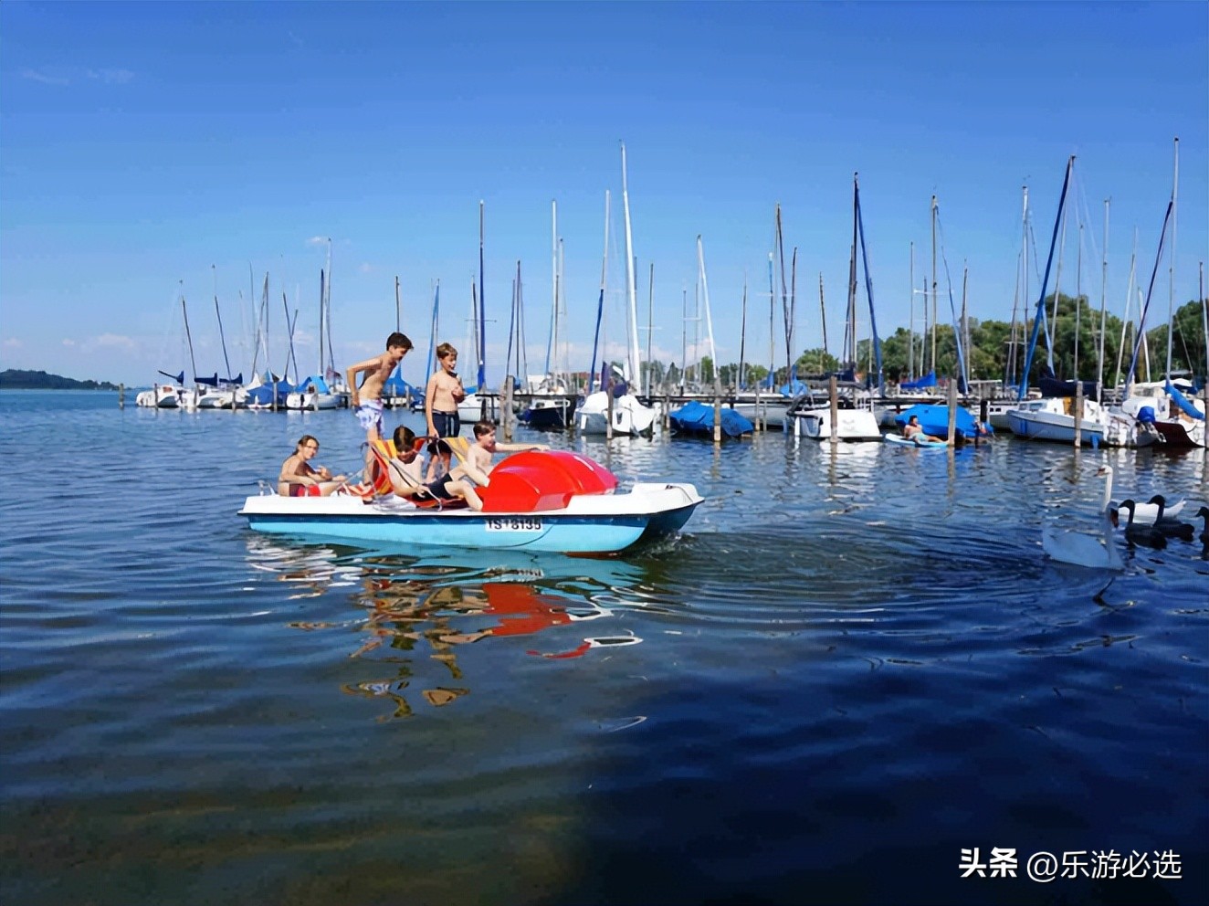 英语夏令营2019,英语夏令营课程视频