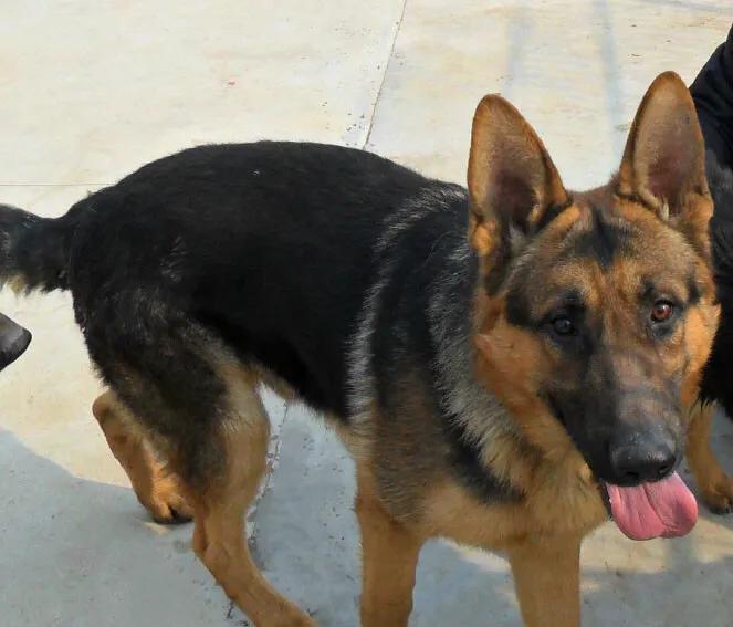 世上只有妈妈好爸爸也不错,世上只有妈妈好爸爸不好吗