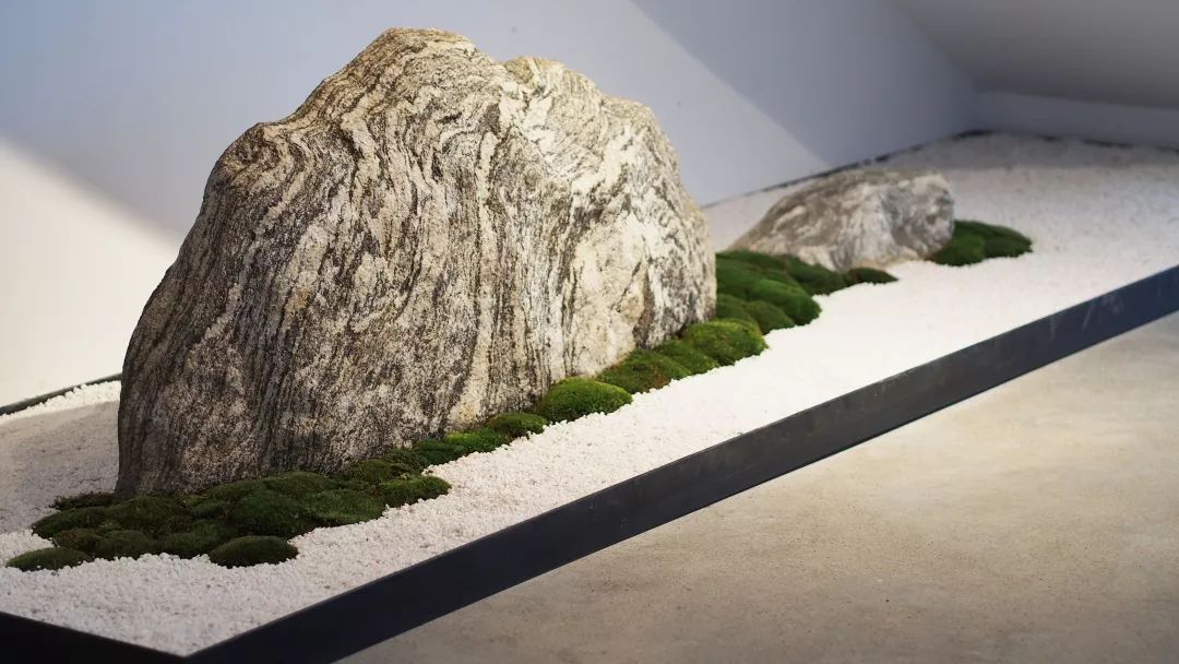 杭州吴越画室成人定制班,杭州吴越画室校考冲刺