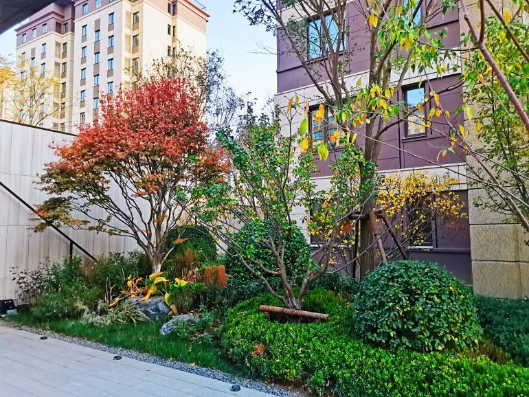 北辰宜兴埠未来城243平米洋房,探盘刚需视频