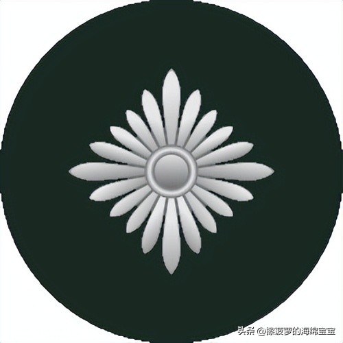 二战德国国防军医疗兵军衔标志