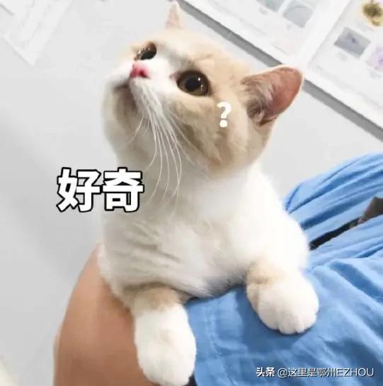 太给力了!鄂州这个区亮出5年成绩单