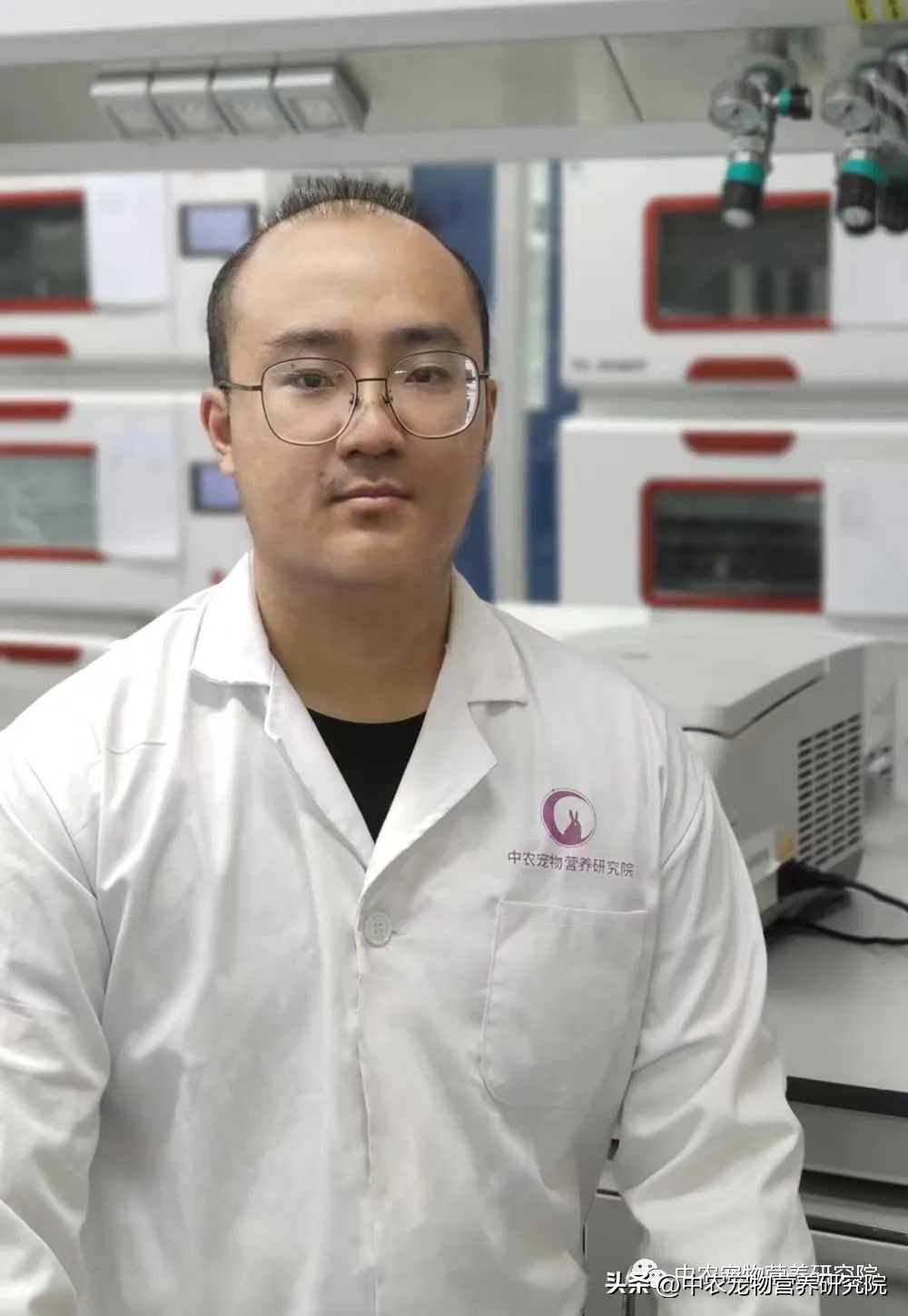 宠业新观察,中国宠物行业的发展史