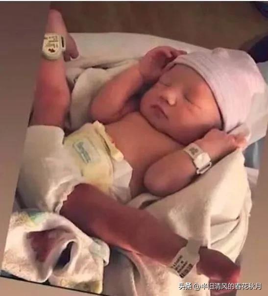 上海张柏芝的视频,香港影星张柏芝