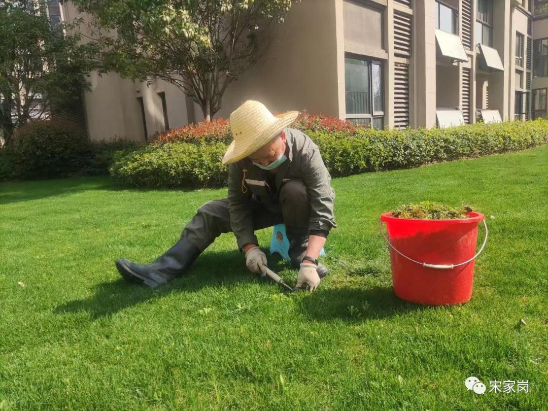 武汉盘龙城种草专业户—新力帝泊湾小区,小区品质离不开细节处理