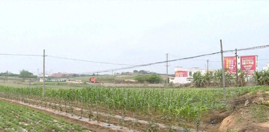 南宁一4岁女童上幼儿园疑似被猥亵，*裤内**上曾有血迹！