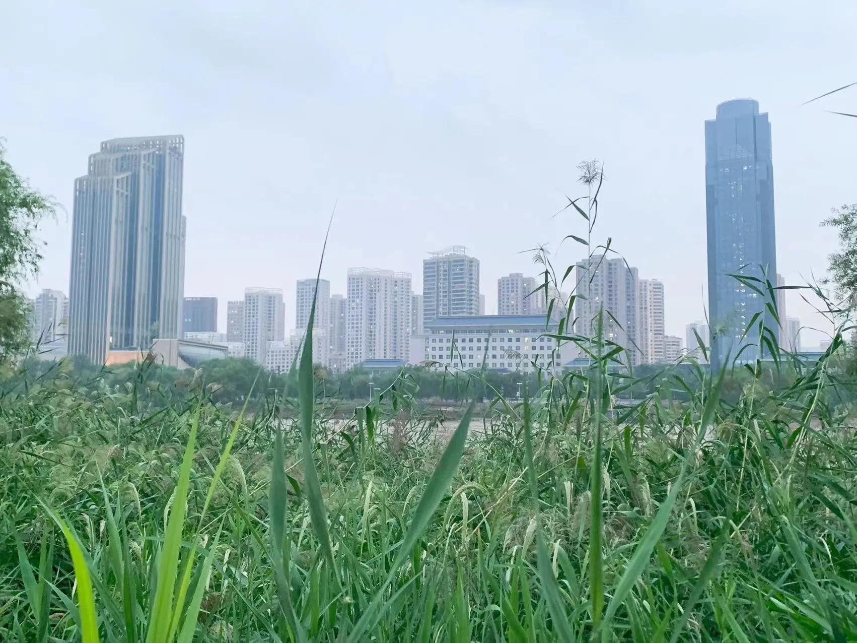 兰州新区未来是制造业为主吗,兰州新区的支柱产业都是哪些