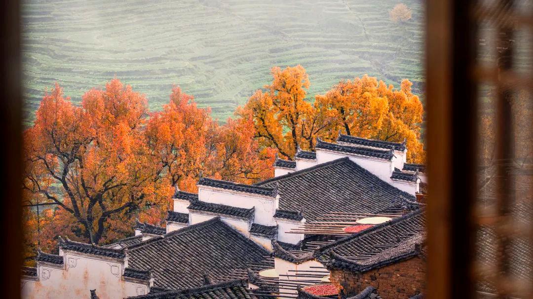 江西婺源三天两晚游最美景点,冬日婺源2天一夜旅游攻略