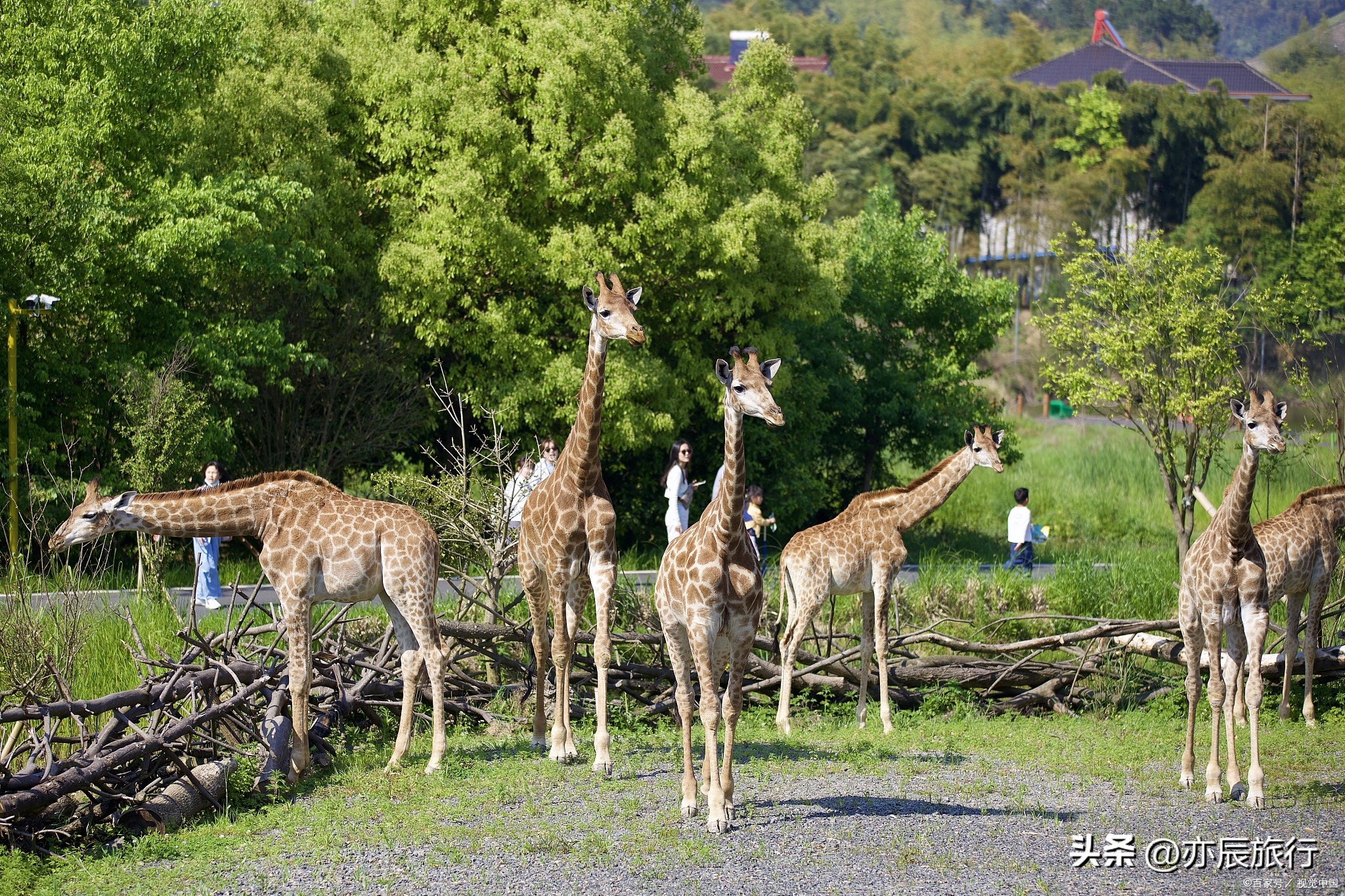 武汉周边避暑烧烤钓鱼,武汉周边避暑旅游景点推荐