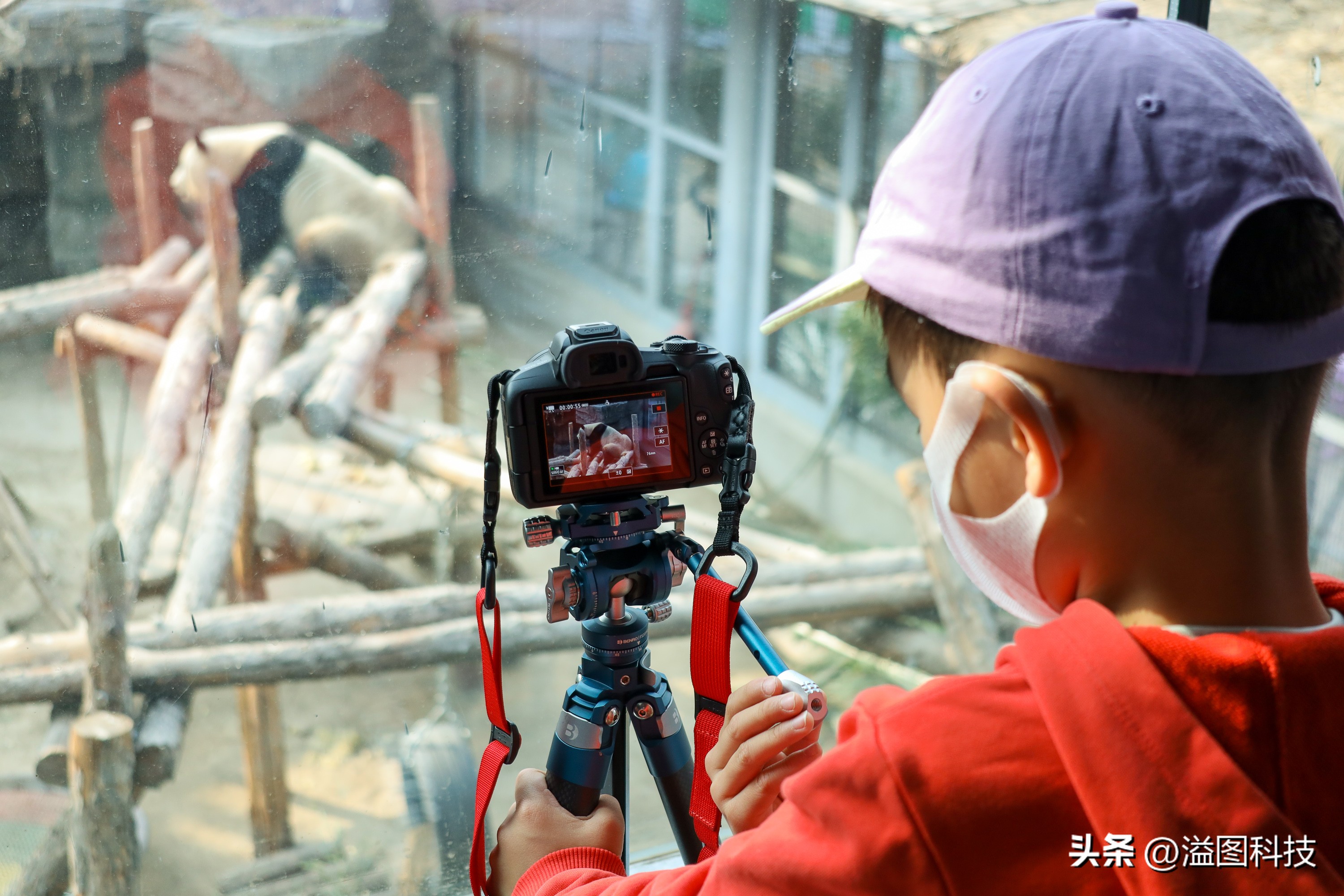 佳能rf-s55-210mm,和儿子感受大自然的气息和美景