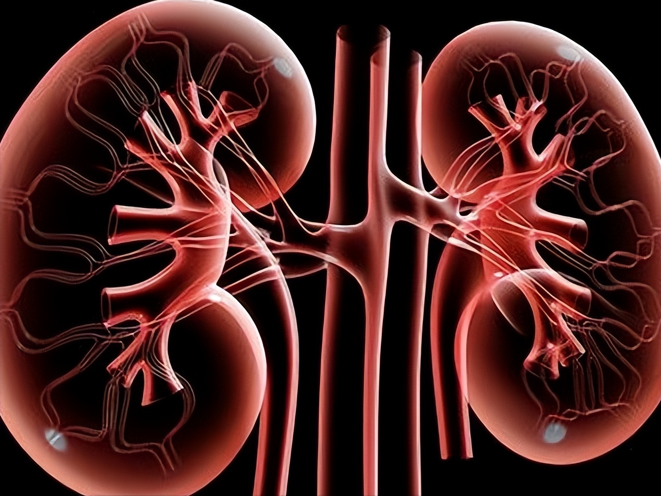 乙肝小三阳转氨酶升高,小三阳转氨酶正常会肝硬化吗