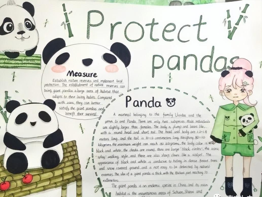 保护动物手抄报英语一等奖五年级,英语保护动物倡议手抄报