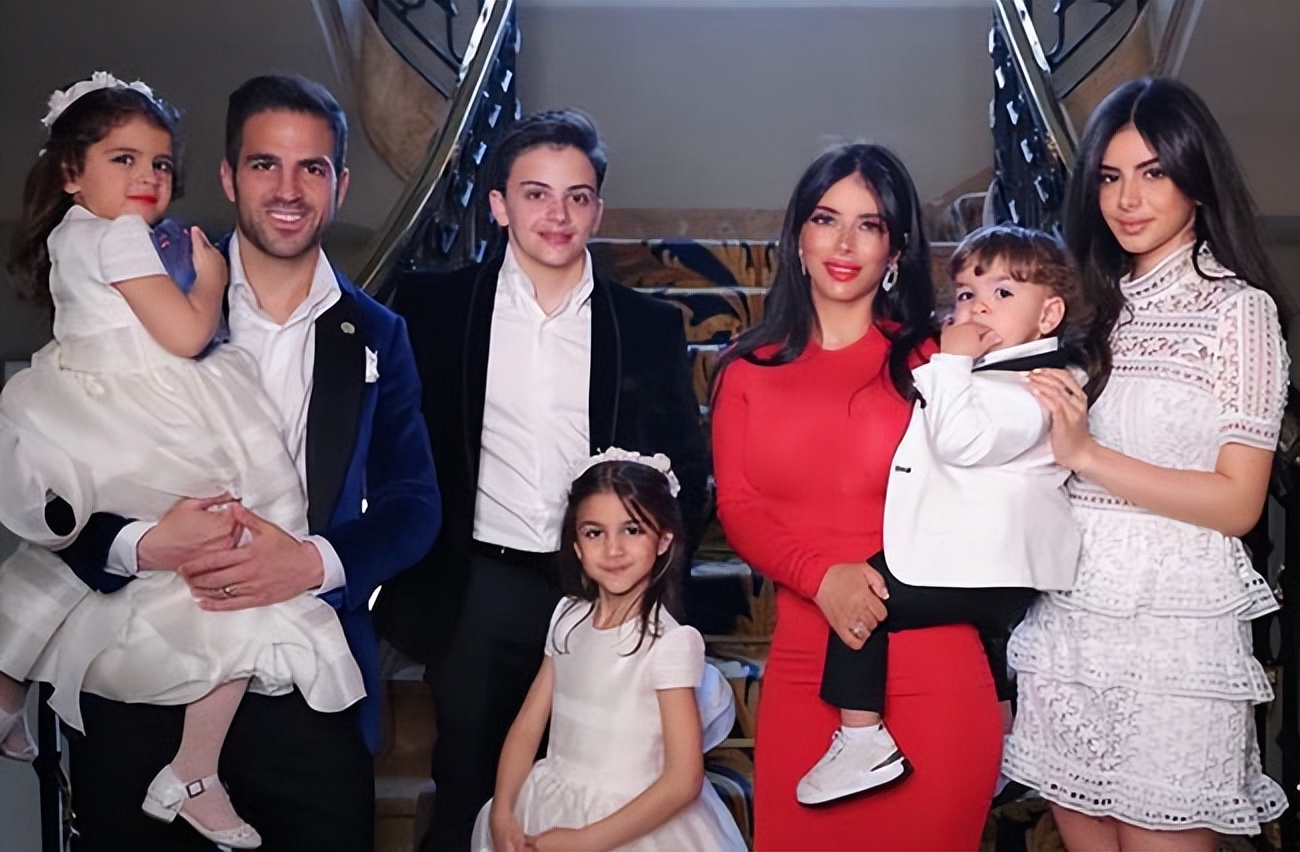 隐入尘烟镜头梵高,隐入尘烟巴比松画派