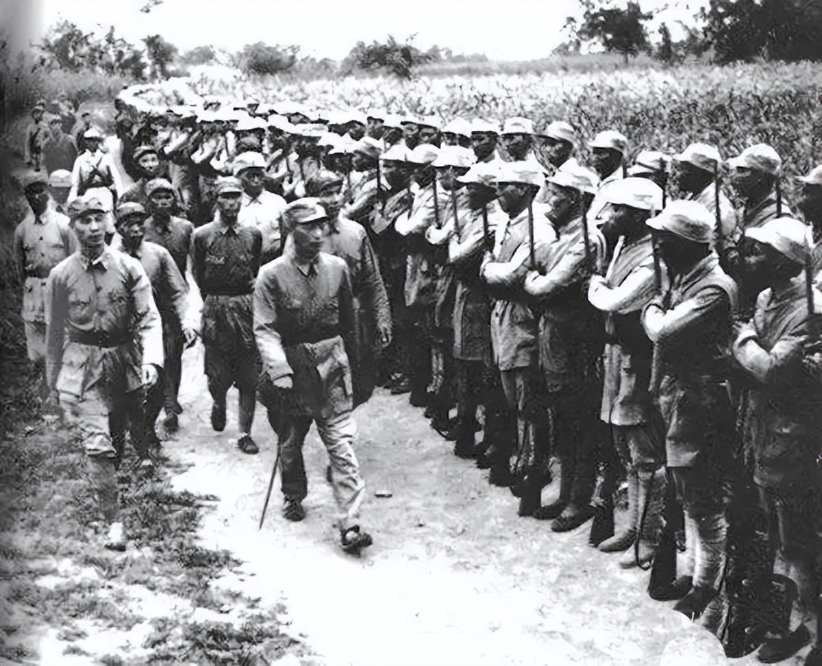 罗荣桓入山东，从115师带走3千人，苦干6年后，正规军膨胀了90倍