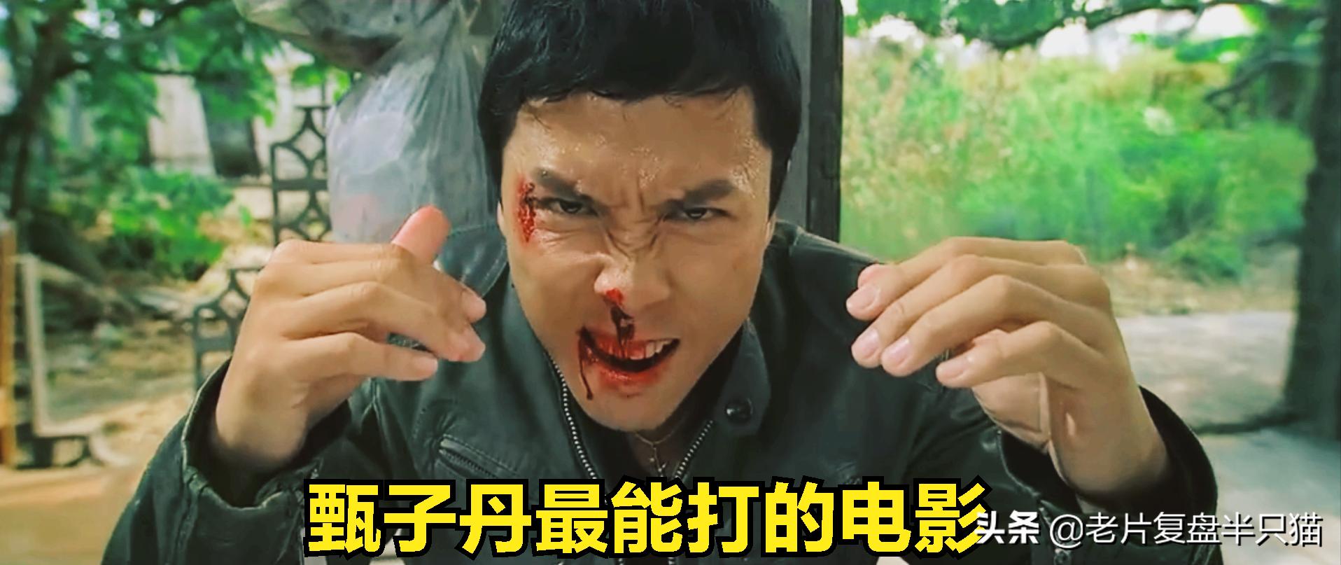 推荐几部甄子丹最能打的动作电影,甄子丹拍过三部巅峰时期动作片