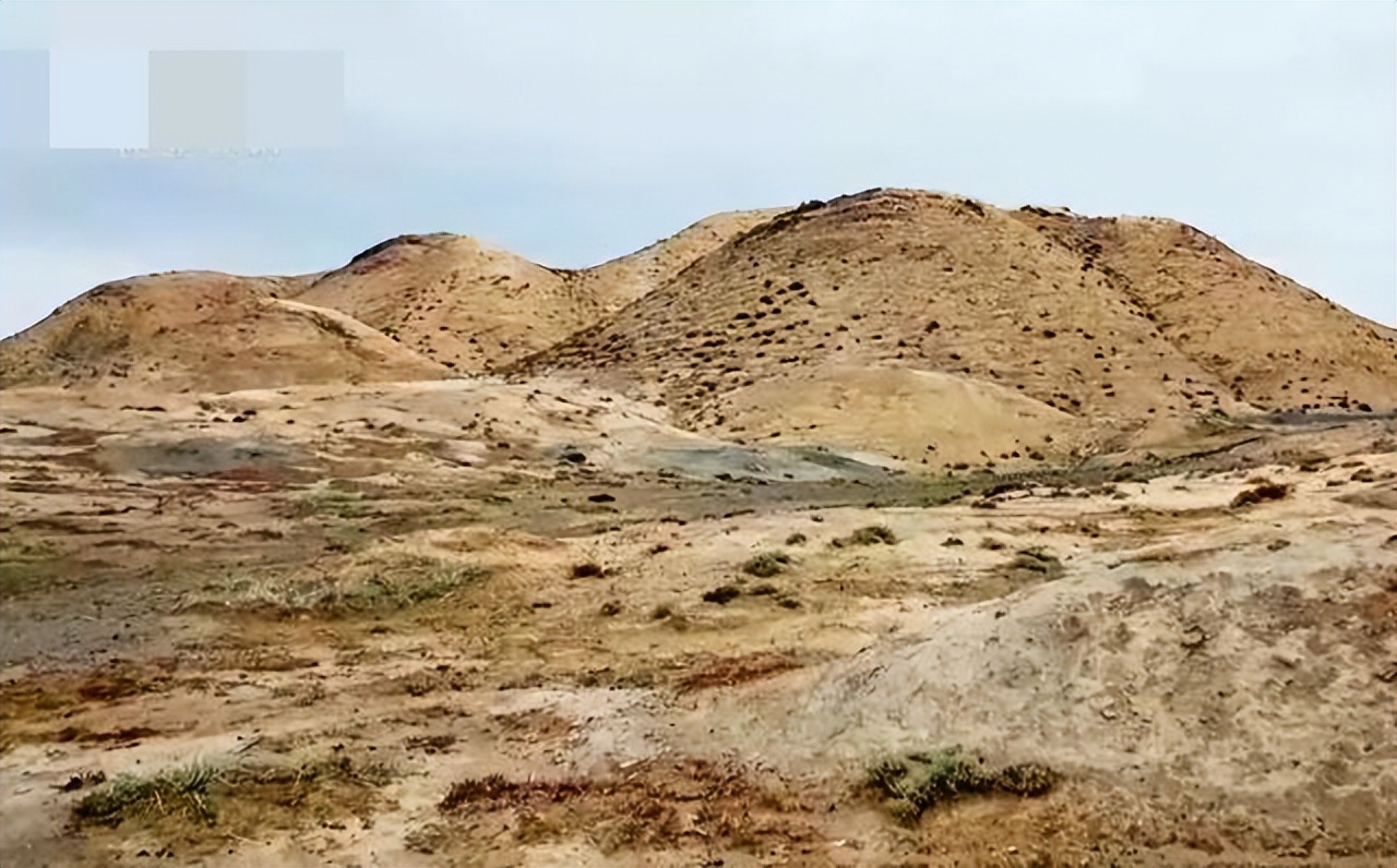 甘肃女子变卖家产花千万开发沙漠,女子砸千万家产完整版