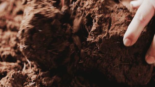 裸辞女教师云南,辞职女教师隐居山村多年