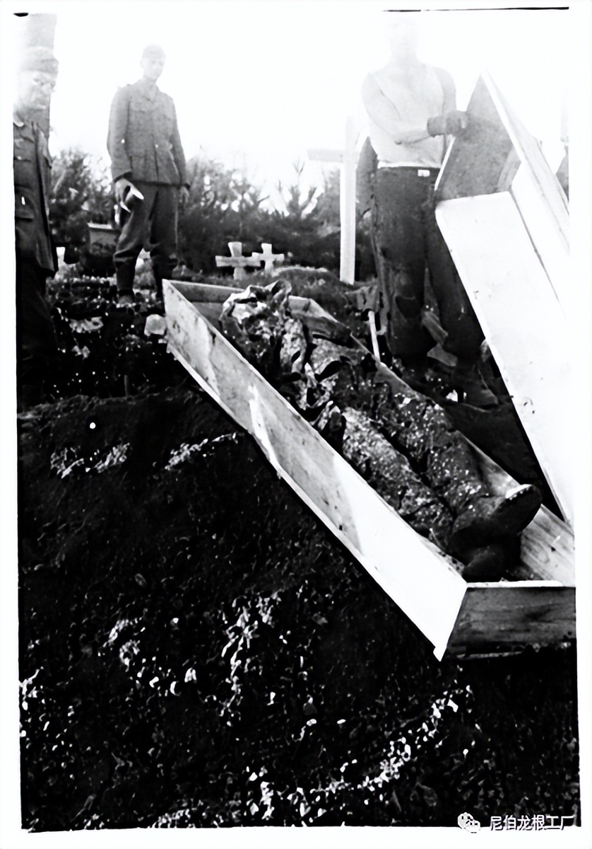 好收吾骨瘴江边全诗,好收吾骨瘴江边翻译