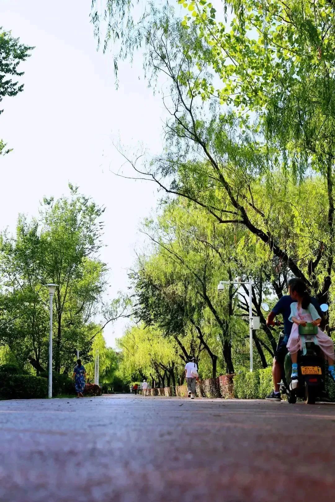 微度假美学生活,微度假慢生活轻养老