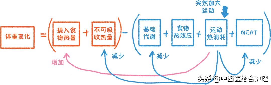 减肥每天运动量多少才能达到减肥,合理饮食不运动怎么减体重