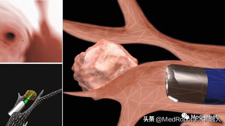 100种仿生机器人,最新全自动机器人