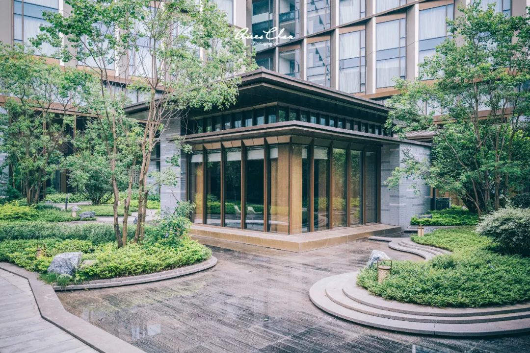 广东最新开业万豪酒店,新开业万豪酒店