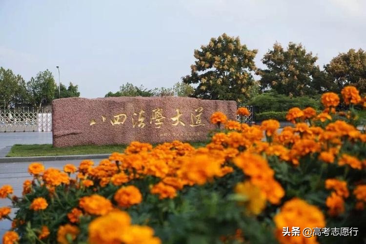 法学一流学科,法学国家级一流学科名单