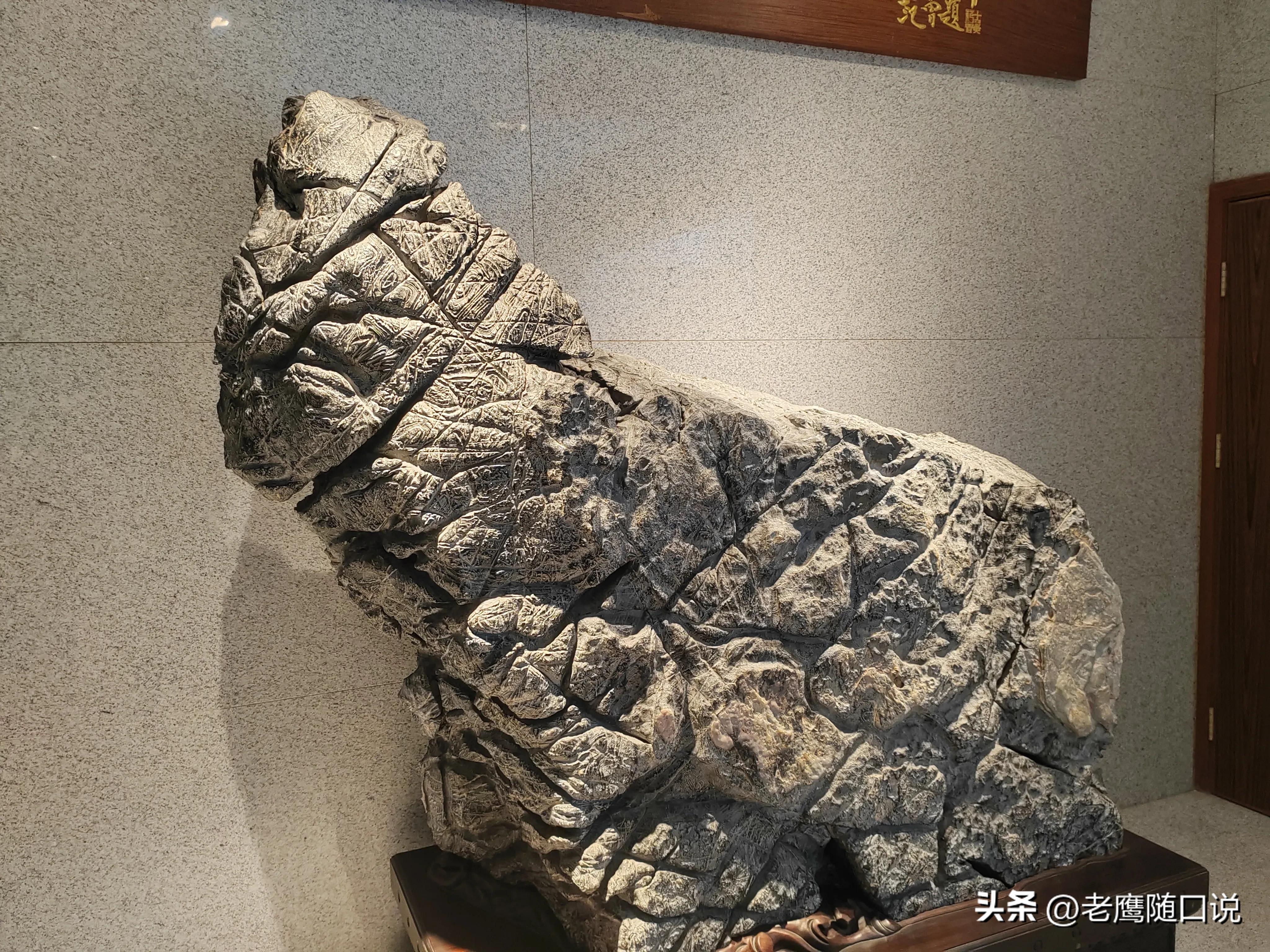 参观青岛博物馆,参观青岛葡萄酒博物馆感受