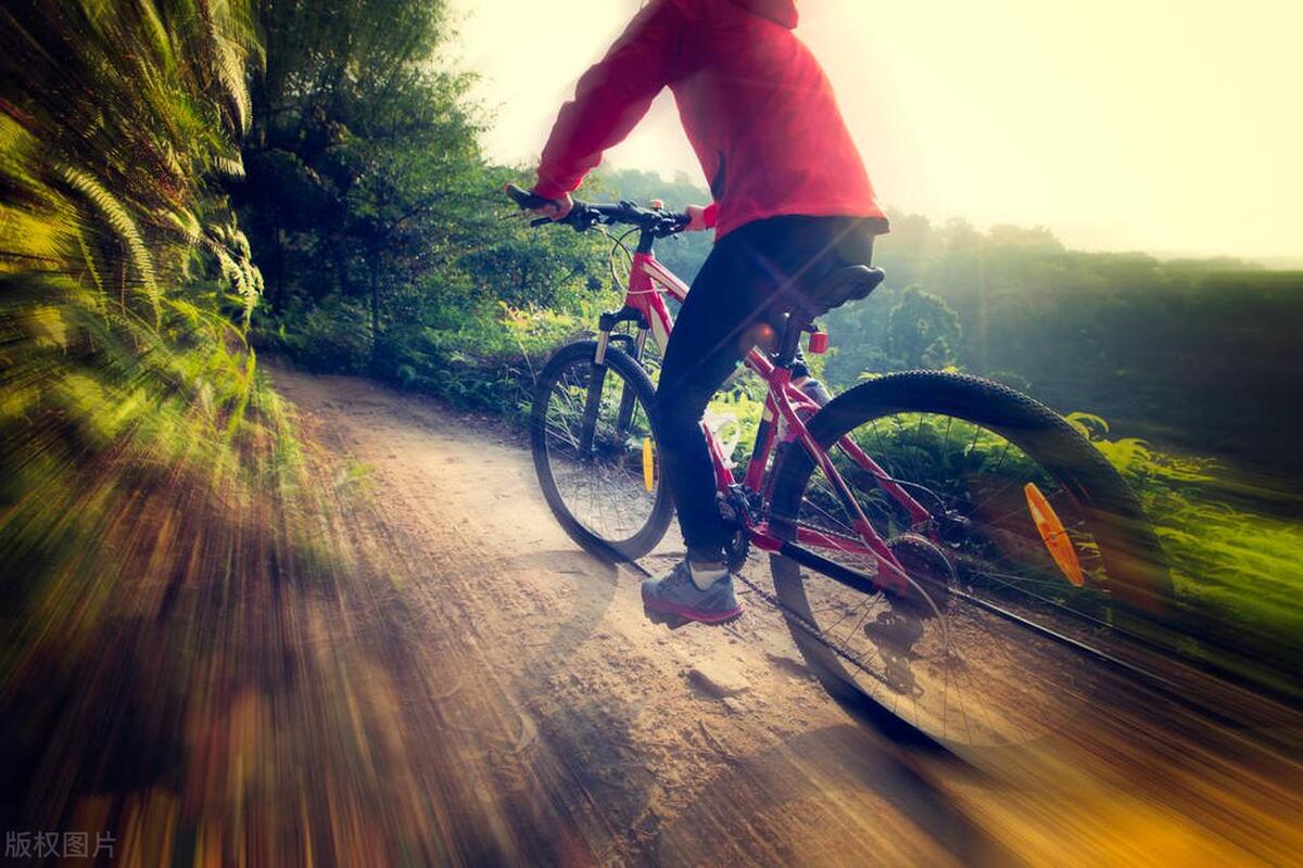 2023山地车十大品牌质量排行榜,国货山地车推荐