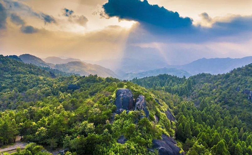 温州必玩的20个景点,温州旅游必去十大景点在哪里