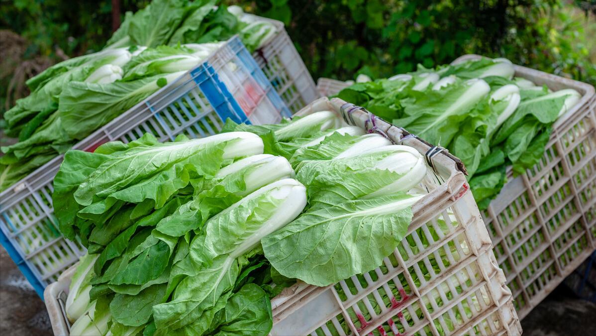 定调了！时隔3年，国家决定大力发展社有企业，释放出了什么信号