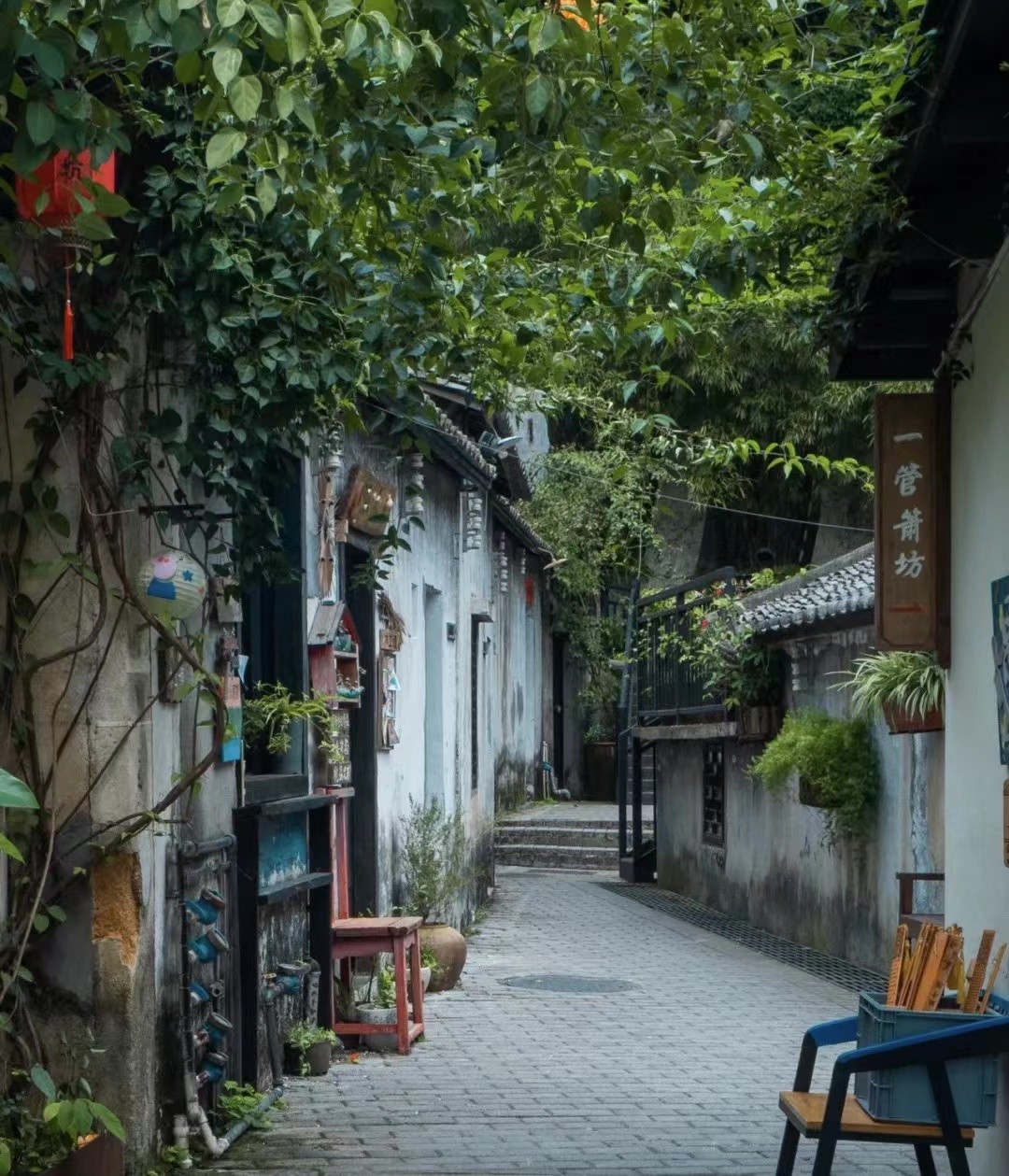 深漂十余载，独爱龙岗区，且看深圳的幸福生活