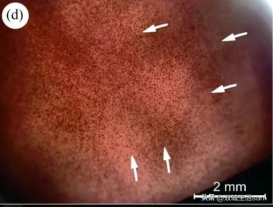 南红玛瑙的高级“替身”？带你深挖非洲红玛瑙的“血统”