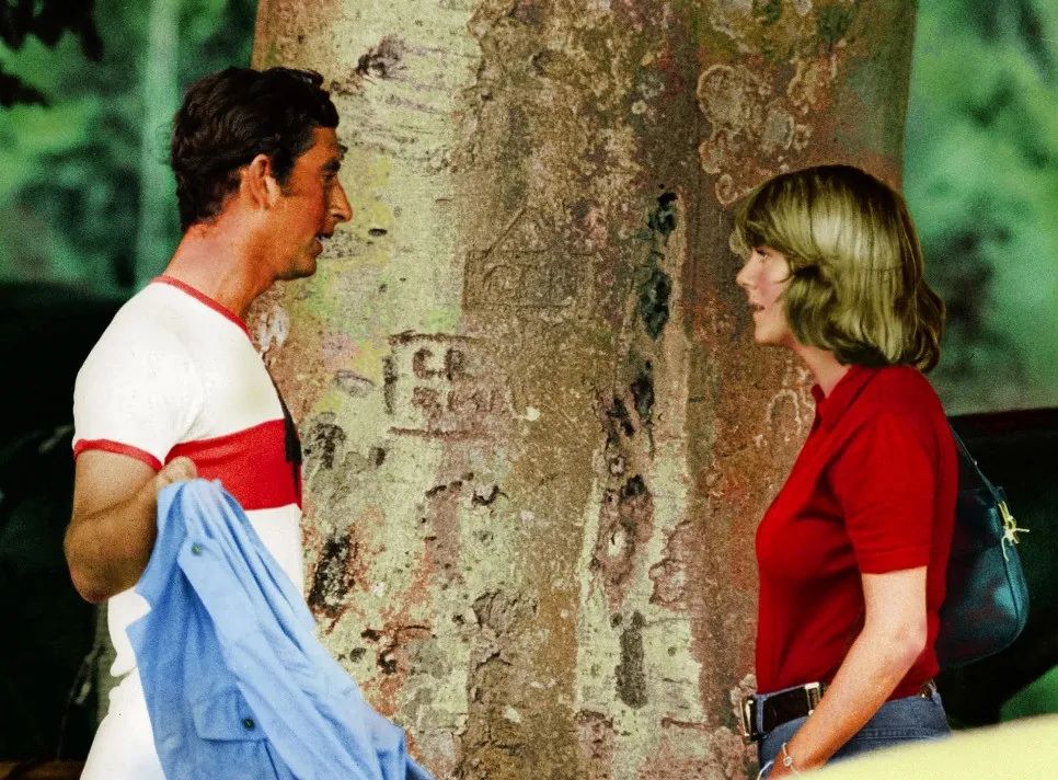 英国王后卡米拉年轻时身材好吗,卡米拉黛妃的珠宝