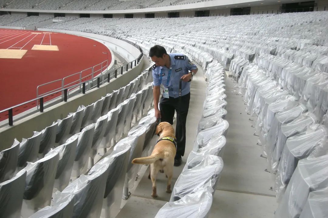 江苏省唯一一名警犬工作岗位硕士研究生与他爱犬“小虎”的故事