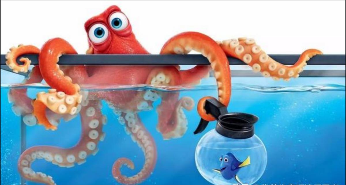 智商超群的章鱼,可能来自外星?为何它们交尾后会选择自杀?