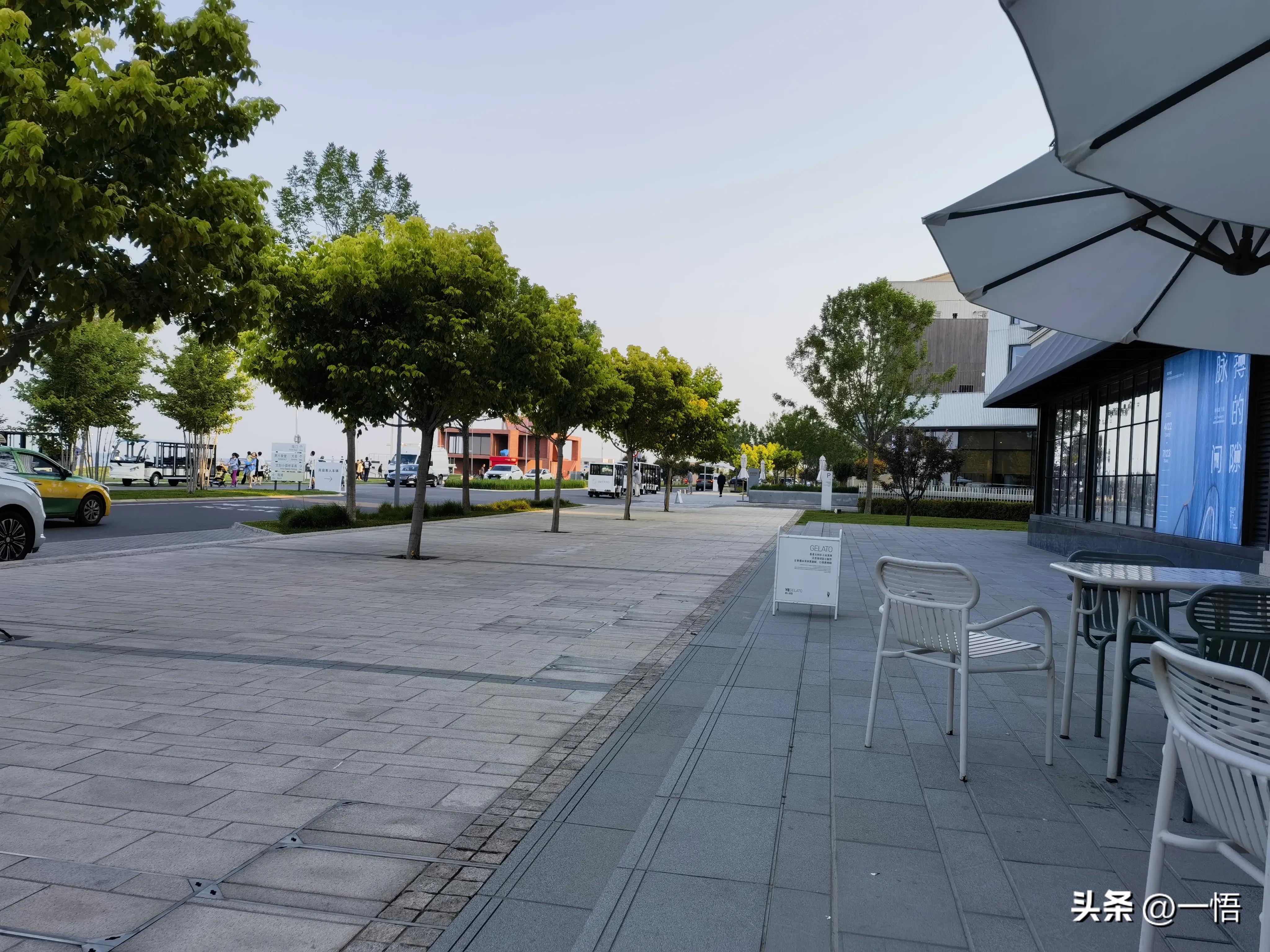 2023上海到秦皇岛承德十日游第四天：看阿那亚的海，逢犬舍的安娜